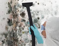 Best Mold Prevention Services  in Elida, OH